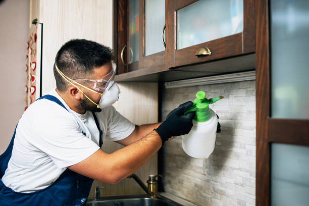 Best Cockroach Control Services  in Mankato, MN