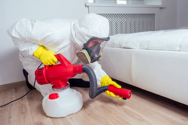Best Affordable Pest Control Services  in Mankato, MN