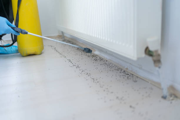 Best Wildlife Control Services  in Mankato, MN