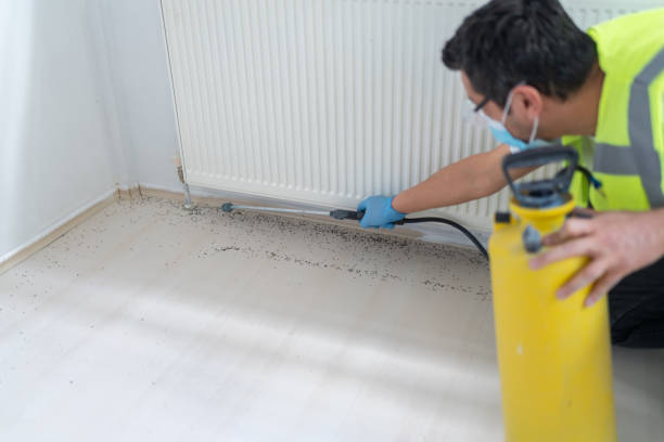 Best Flea Control Services  in Mankato, MN
