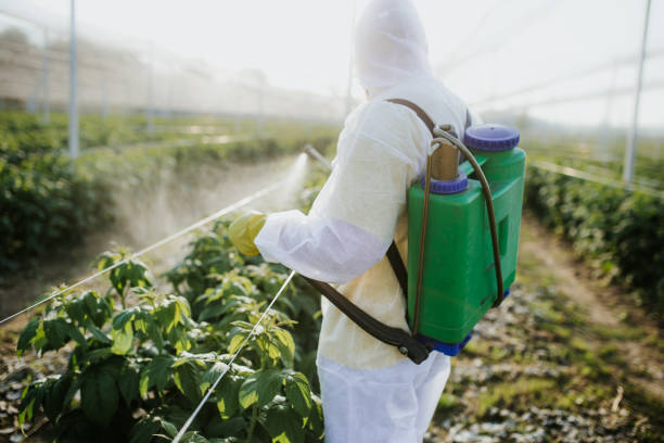 Pest Prevention Services in Mankato, MN